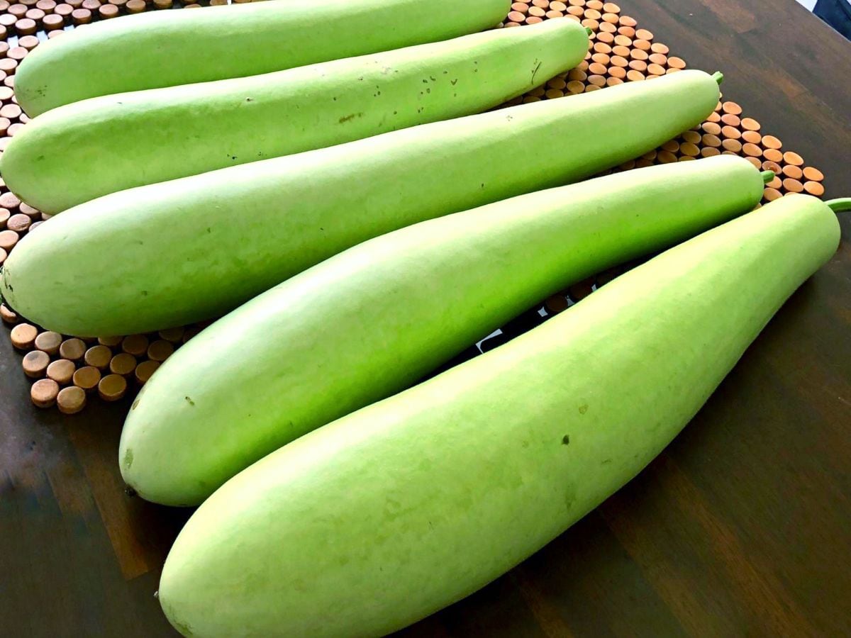 दिल की सेहत के लिए फायदेमंद है लौकी, जानिए क्या हैं इसके अन्य लाभ - eating bottle  gourd can be beneficial for the heart know its other benefits in hindi -  News18 हिंदी