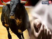 सांड ने बुजुर्ग को सिंगों से उठाकर जोर से पटका, चेहरे के आर पार हुआ सींग, मौत