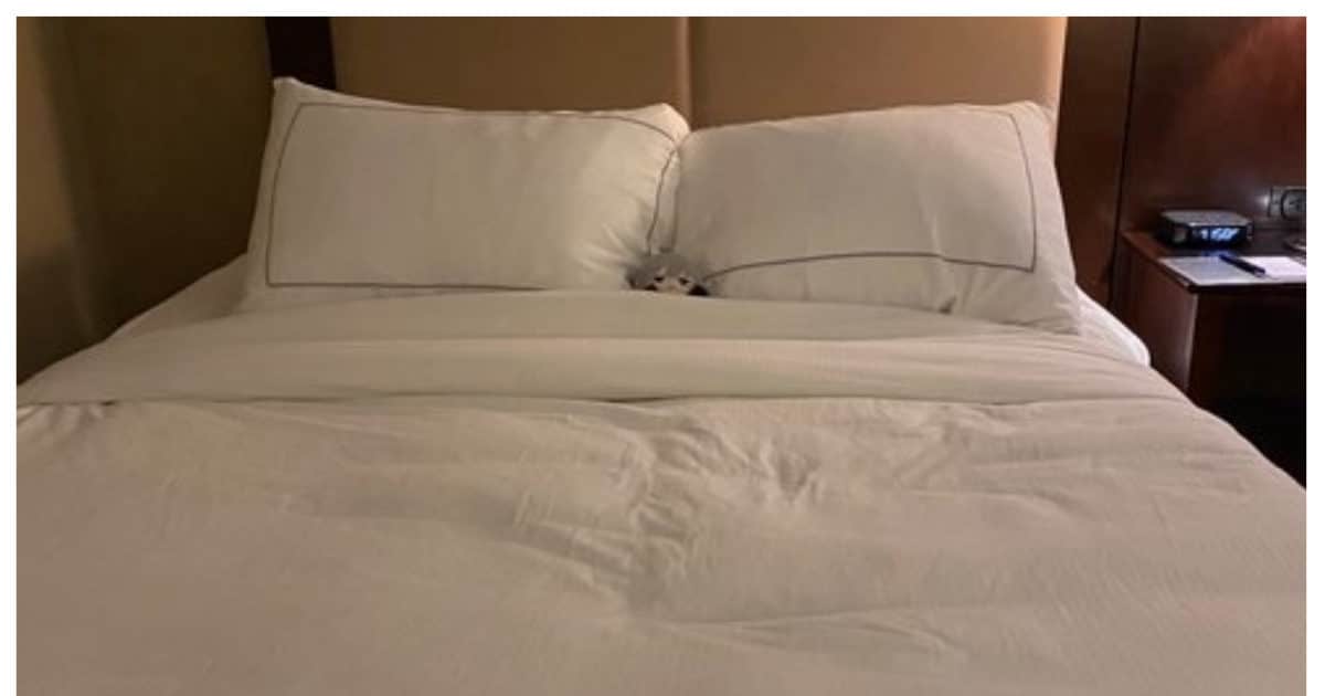 ये कैसी परंपरा! जापान में शादीशुदा जोड़े अलगअलग क्यों सोते हैं? पढ़ें