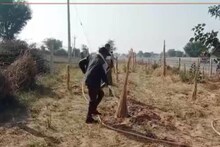 Churu Weather News: चूरू में 0 डिग्री चला जाता है तापमान, पौधों को बचाने के लिए ये प्लान
