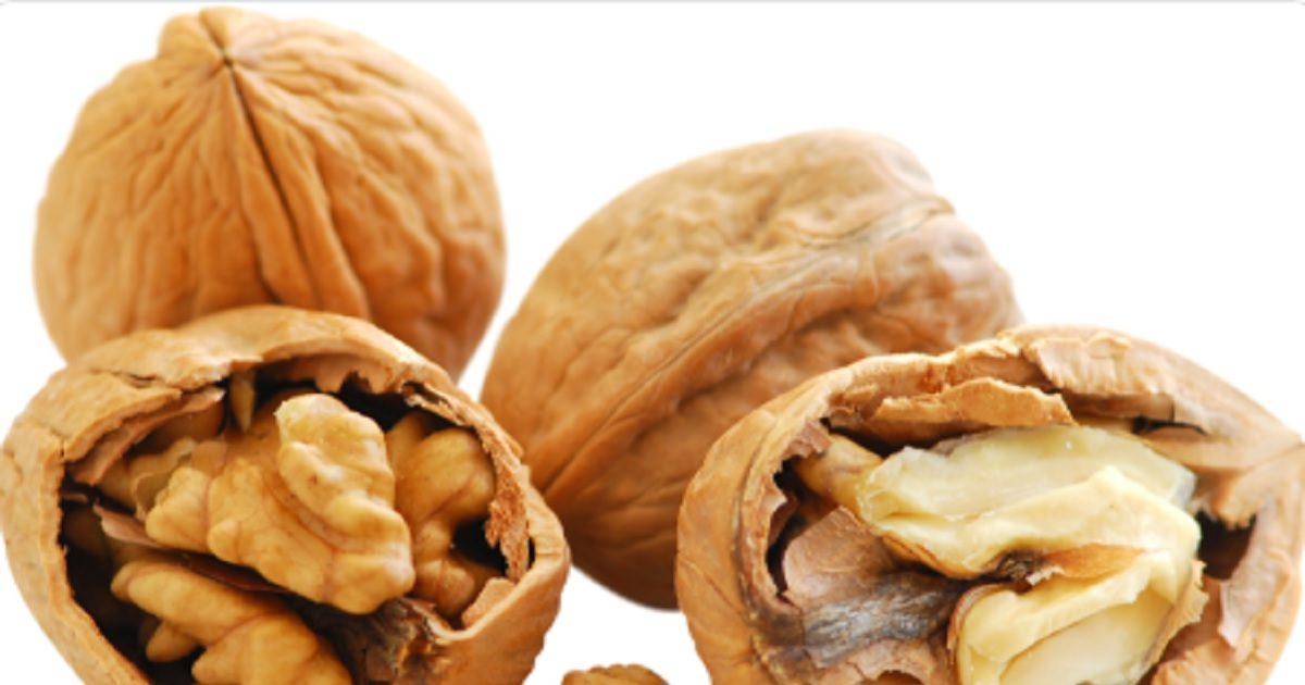 परीक्षा के समय तनाव में स्टूडेंट्स के लिए नया ब्रेन सुपरफूड बना अखरोट