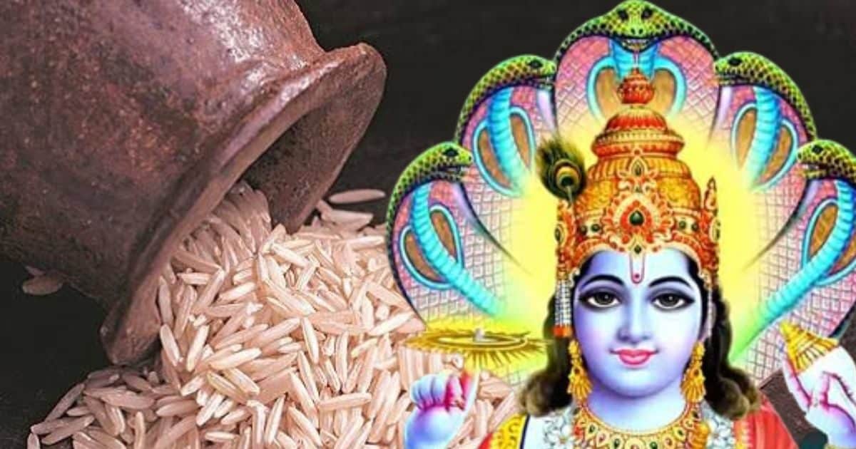 Ekadashi Vrat Niyam एकादशी के दिन चावल खाना क्यों होता है निषेध? जानें