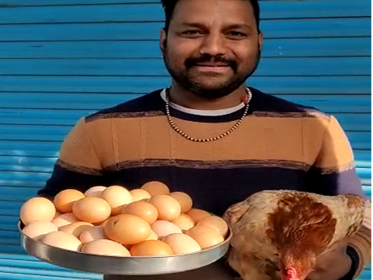 उत्तराखंड में मुर्गी ने बनाया अनोखा रिकॉर्ड, 1 दिन में दिए 31 अंडे, सोशल  मीडिया पर जमकर हो रही वायरल - hen gives 31 eggs in a day in uttarakhand  almora district