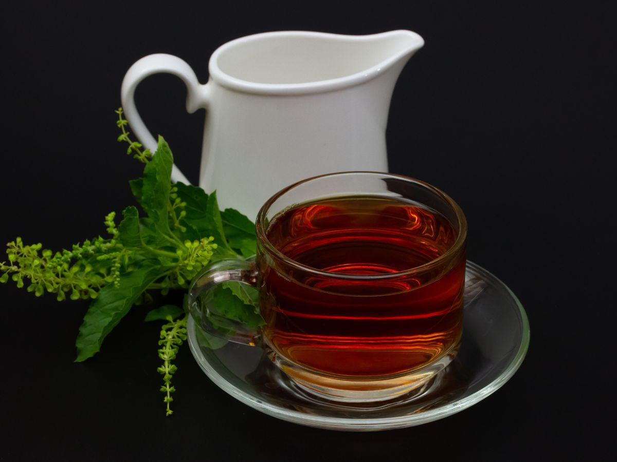 basil tea