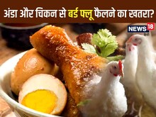 बर्ड फ्लू चिकन और अंडा खाने से भी फैल सकता है? जानें इस बीमारी से जुड़े फैक्ट