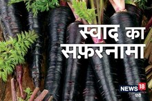 स्वाद का सफ़रनामा: आंखों की रोशनी बेहतर कर डाइजेशन सुधारती है काली गाजर, जानें रोचक इतिहास