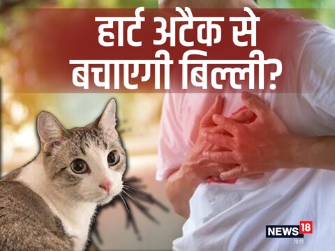 बिल्ली पालने से लोगों की मेंटल हेल्थ भी इंप्रूव हो सकती है.