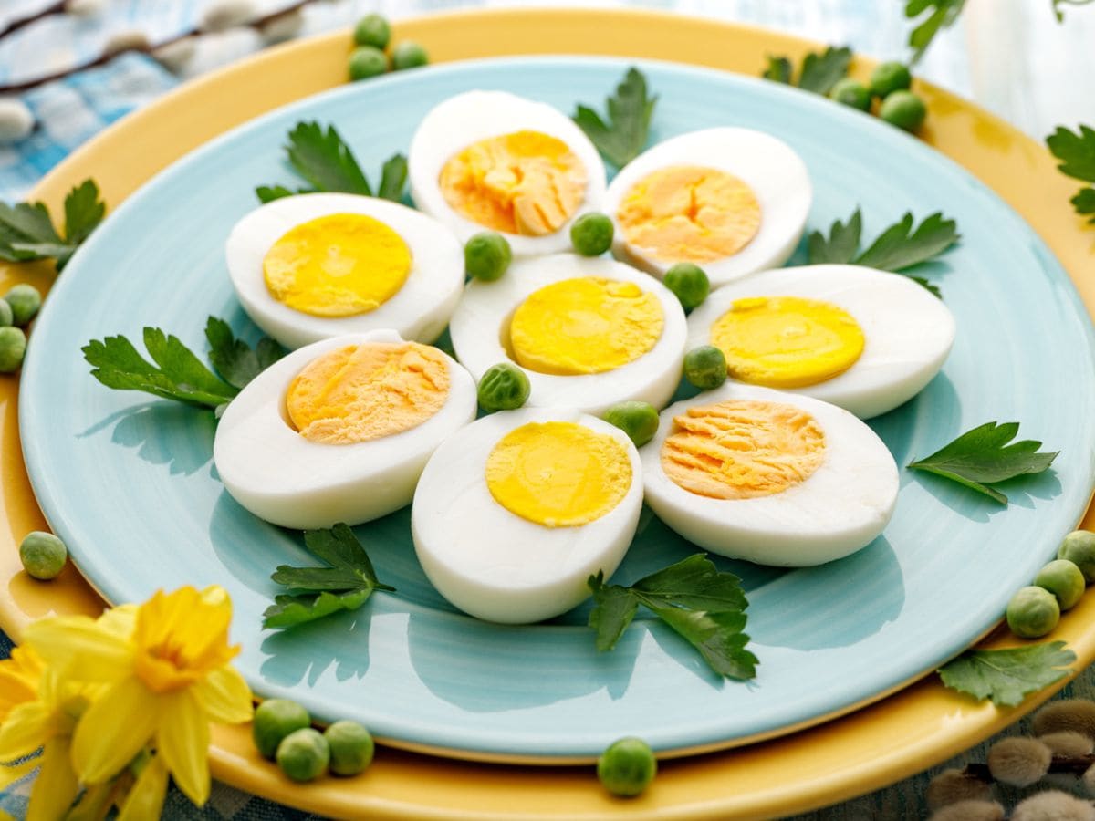 Boiled Eggs Benefits: सर्दियों में कई बीमारियों का इलाज है उबला अंडा, जानें इसके जादुई हेल्थ बेनेफिट्स - boiled eggs health benefits in winter season ubale ande khane ke fayde - News18 ...