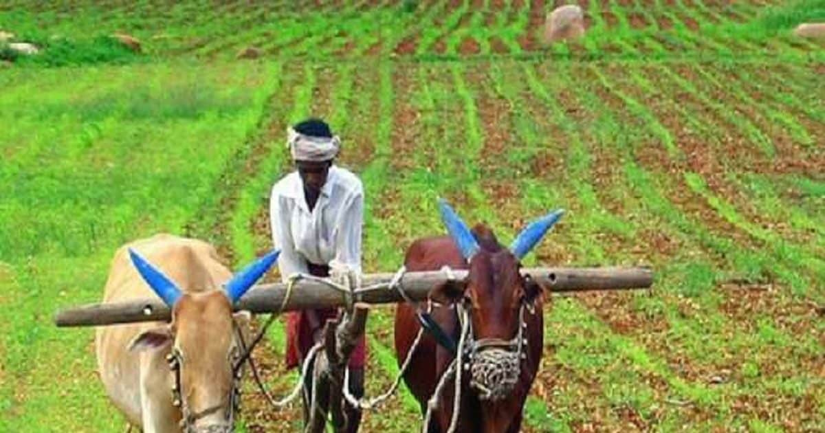 trending-news-48-decline-in-crop-insurance-claims-in-fy22-what-is