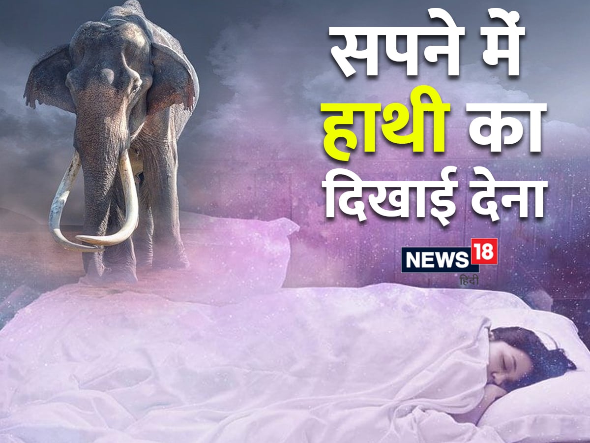 क्या सपने में हाथी दिखाई देने से मान-सम्मान में होती है वृद्धि? जान लें  इसके शुभ-अशुभ संकेत - dreaming elephant indicates alot auspicious  inauspicious signs see elephant in dream ...