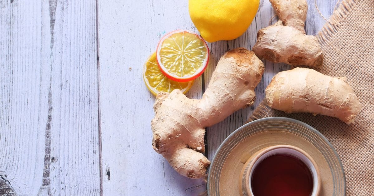 सर्दियों में डाइजेशन ठीक रखती है हर्बल चाय, जानें विंटर में इसे पीने के