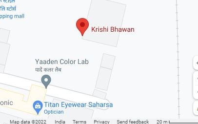 Saharsa news, women group, mushroom Gulab Jamun, mushroom Dhokla, mushroom pakori, bihar news, fusion food, mushroom recipes, fusion food, bihar food, local food