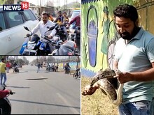 छत्तीसगढ़ः DFO बंगले में सांप निकला तो बाइपास रोड पर अजगर आने से लगा जाम