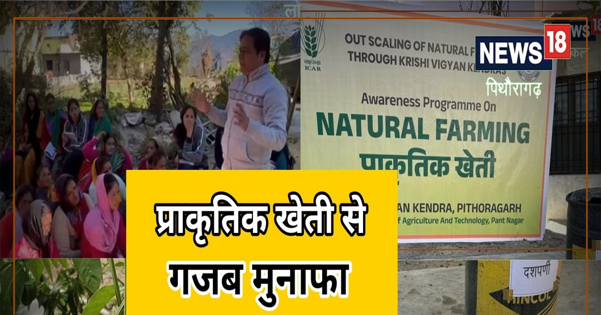 Organic farming tips किसानों के लिए काम की खबर, बढ़ाना चाहते हैं फसल