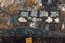 New Year Party: फेवरेट डेस्टिनेशन है Patna Zoo, 31 दिसंबर को यहां टिकट होगा पांच गुना! ये नए नियम भी जानें