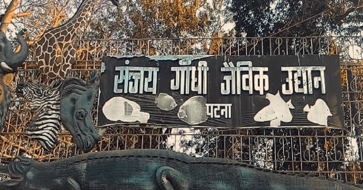 New Year Party फेवरेट डेस्टिनेशन है Patna Zoo, 31 दिसंबर को यहां टिकट
