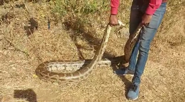 News18 Hindi