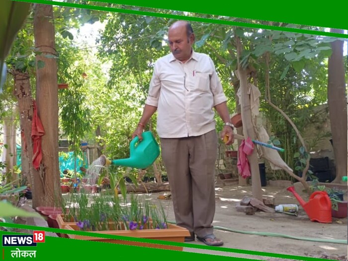 रेत में बिखरी कश्मीरी खुशबू, बाड़मेर में उगा दिया केसर, यूट्यूब से ली