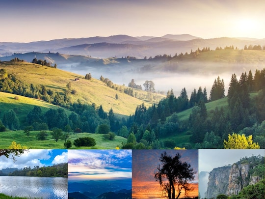 जनवरी में तमिलनाडु की ये जगहें जन्‍नत से कम नहीं लगतीं. Image : Canva