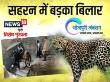 भोजपुरी में पढ़े : सहरन में बड़का बिलार, तेंदुआ