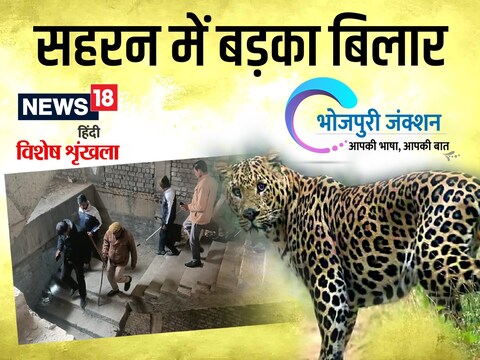 जंगल के जीव काहें शहर में आवत बाने सब.