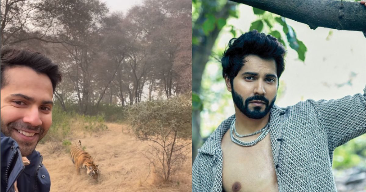 ‘Bhediya’ met Tiger, Arjun Kapoor enjoyed this style of Varun Dhawan, watch VIDEO