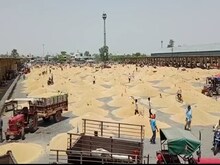 यहां जर्मनी और बैंकाॅक की मशीनों से होती है गेंहू की सफाई