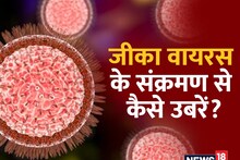 Zika Virus Treatment: जीका वायरस से संक्रमित होने पर क्या करें? डॉक्टर से जानें जरूरी बातें