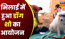 Bhilai : 22वें डॉग शो में डॉग लवर्स का लगा जमावड़ा | Latest Hindi News | CG News | Dog Lover