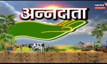 Annadata: कितना फायदेमंद बकरी पालन और कैसे करें शरुआत | Goat Farming | Agriculture News | Poultry