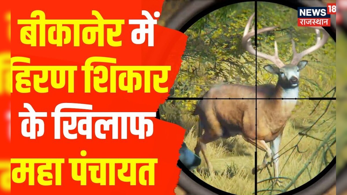 Bikaner हिरण शिकार मामले को लेकर आज होगी महा Panchayat Deer Hunt