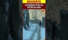 अफ़गानिस्तान में भीषण ठंड का कहर #shorts