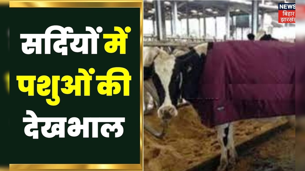 Dairy Farming सर्दियों में पशुओं की देखभाल। Cow Dairy Farm Dairy