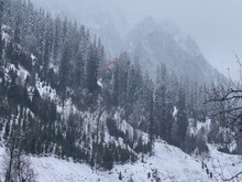 कुल्लू-मनाली में दूसरे दिन भी बर्फबारी, सैलानियों ने कहा- We Love Himachal