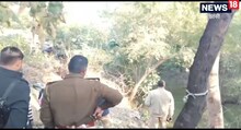 झांसी में नवजात बच्चों का शिकार कर रही नरभक्षी बिल्ली, SSP बोले- मामला संदिग्ध