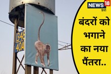 Agra news: लंगूरों की तस्वीर दिखाकर बंदरों को भगाने की तैयारी, जानिए रेलवे का नया प्रयोग