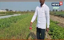 Success Story: ऑर्गेनिक खेती ने बदली जयप्रकाश की किस्मत, सालाना कमाते हैं 12 लाख