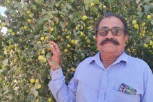 Success Story: रिटायर्ड रेलवेकर्मी ने रेत में उगाए थाई एप्पल बेर, बागीचा देख रह जाएंगे दंग