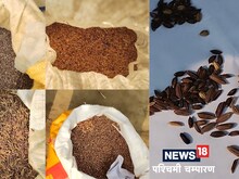 वेट लिफ्टिंग छोड़ कमलेश बन गए किसान, अब खेतों में उगा रहे शुगर फ्री राइस