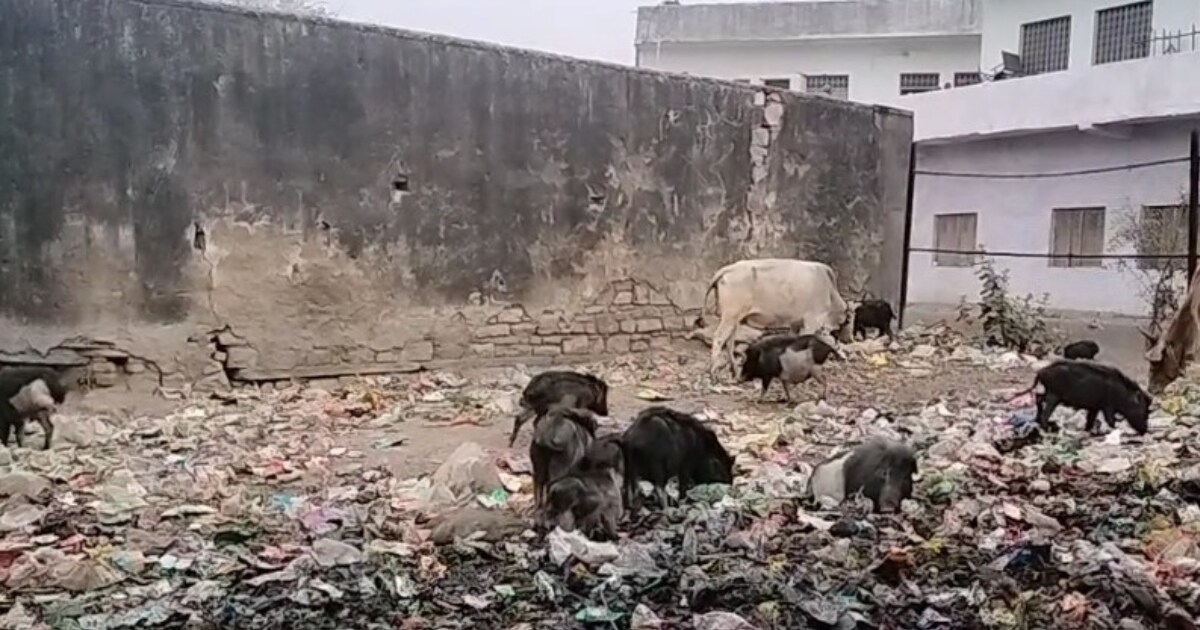 Baran News: बदहाली का शिकार 500 साल पुराना ऐतिहासिक मंदिर, कचरा प्वाइंट ...