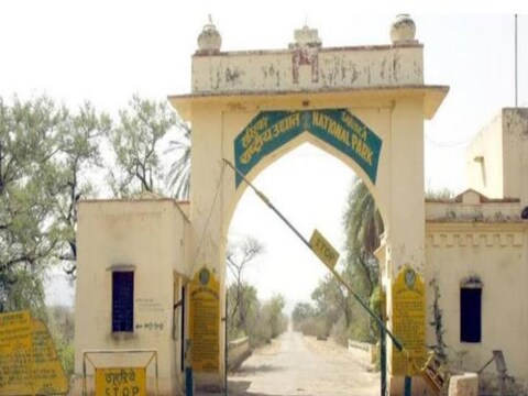 Sariska tiger reserve 