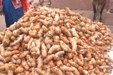 Dhaulpur News : Farmer left conventional farming and started organic farming, now earning lakhs of rupees