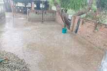 Barmer News: बारिश ने बढ़ाई ठिठुरन, किसानों की खड़ी फसल हुई चौपट