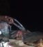 शाजापुर में भीषण सड़क हादसे में आरक्षक की मौत, थाना प्रभारी समेत 3 घायल