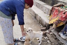 Gwalior:चिंकी से मिली ऐसी प्रेरणा, पिता पुत्री की जोड़ी बनी बेजुबान कुत्तों का सहारा