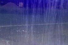 Bhilwara News: किसान ध्यान दें! बारिश व ओलावृष्टि से अगर फसल को हुआ है नुकसान, तो इस नम्बर पर करें शिकायत
