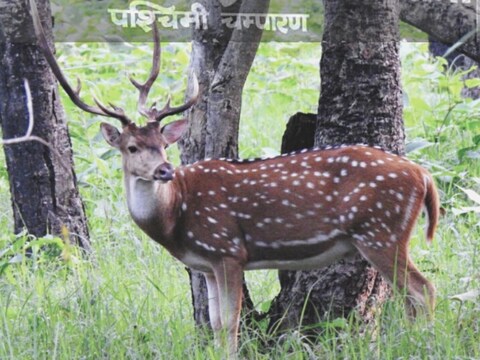 वीटीआर के अधिकृत साइट से ली गई तस्वीर.