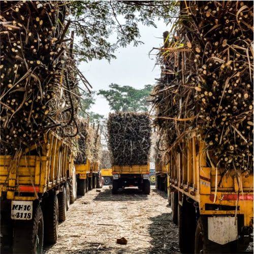 सोशल साइट से ली गई तस्वीर.