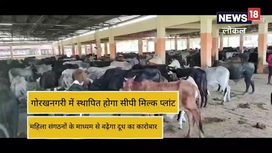 दुग्ध
