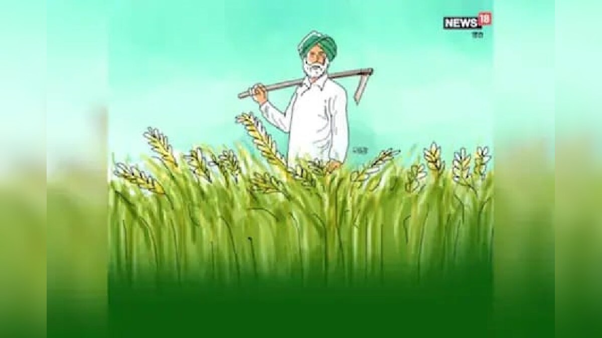 पीएम फसल बीमा योजना से जुड़ेगा झारखंड! जानें बिहार, पंजाब सहित इन राज्यों के किसानों को कब मिलेगा लाभ